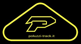 Poluzzi logo