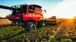 Wet Season Farming in Rice Fields
